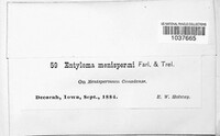 Image Associated With the Occurence